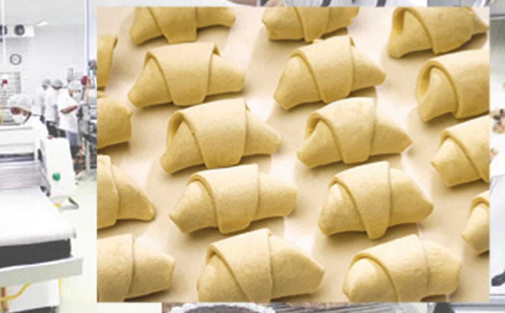 Asafoods Asafoods Large Scale Frozen Dough Factory